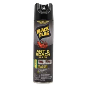 black flag insect spray diversion safe closed