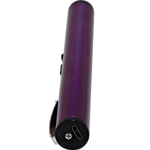 purple pen stun gun usb